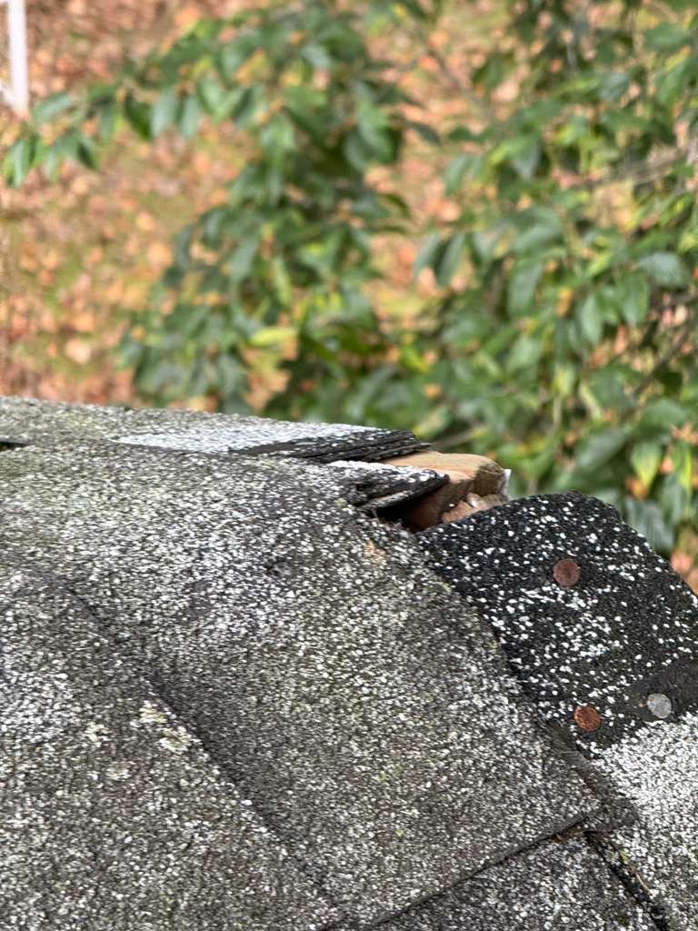 Roofer installing shingles